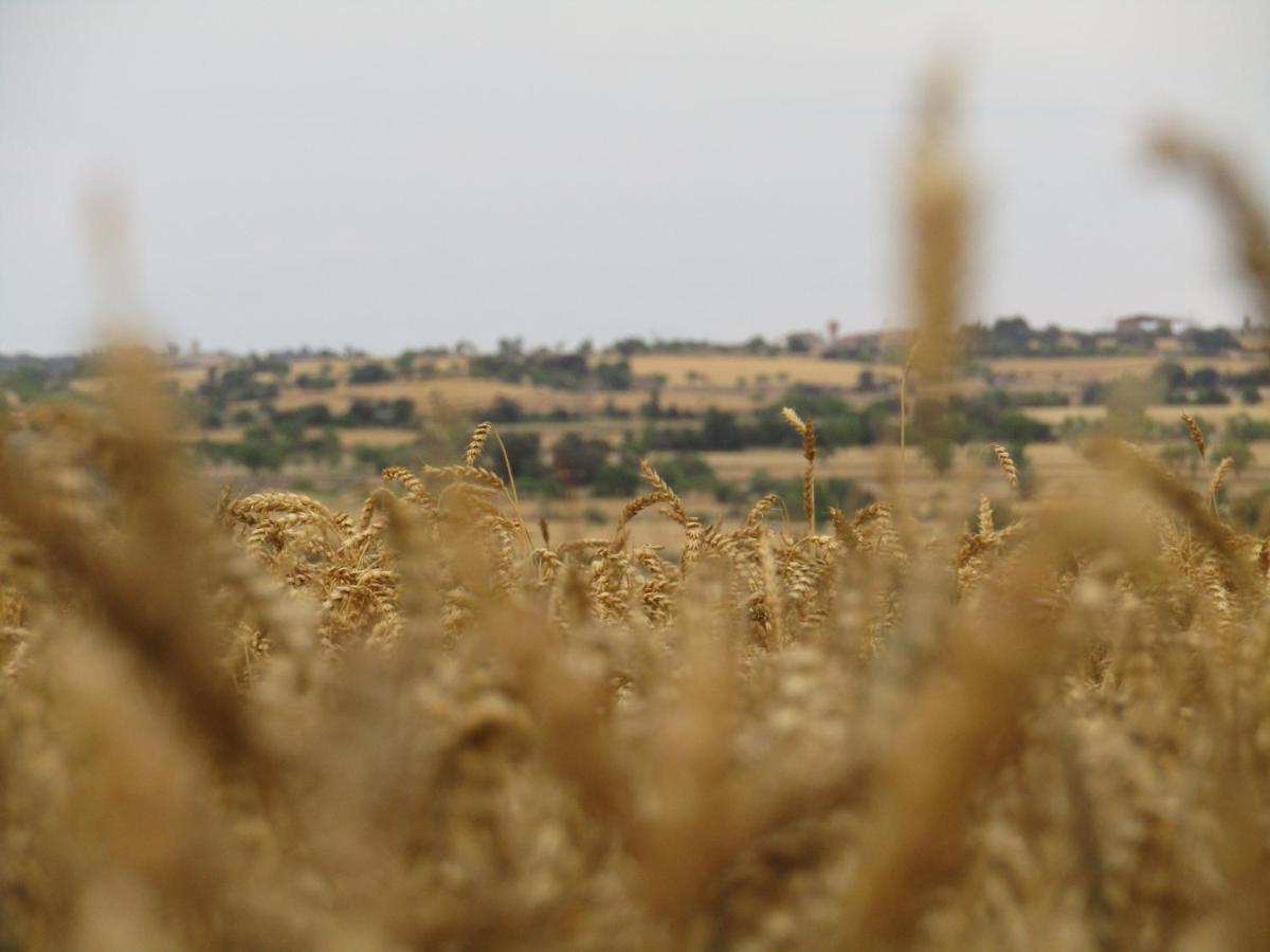 לאידה Cal Bello Casa Rural מראה חיצוני תמונה